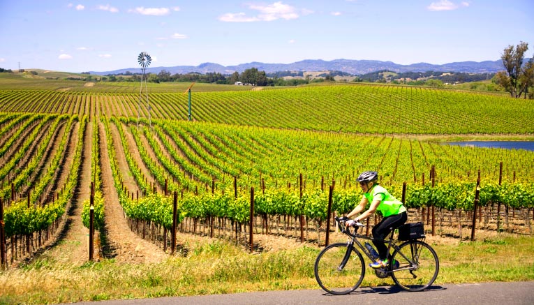 Bwci-winecountry-biking-14